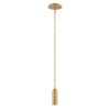 DAX brass HK-DAX-MP-HB Hinkley Lighting