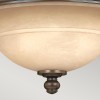 PLYMOUTH old bronze HK-PLYMOUTH-F Hinkley Lighting